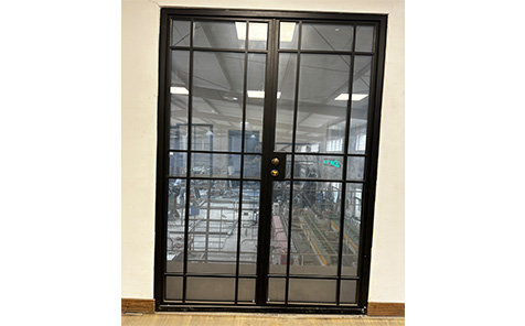 China Modern Iron Window Grille Design Steel Safety Doors