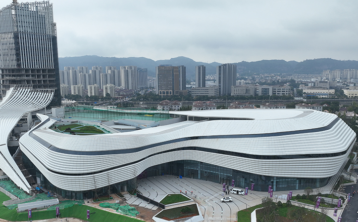 ​​Irregular Aluminum Panel Curtain Wall Architecture​
