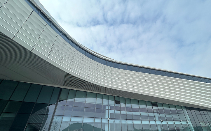 ​​Irregular Aluminum Panel Curtain Wall Architecture​