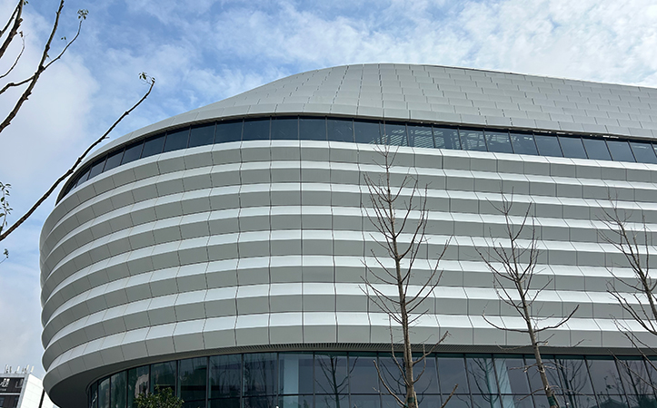 ​​Irregular Aluminum Panel Curtain Wall Architecture​